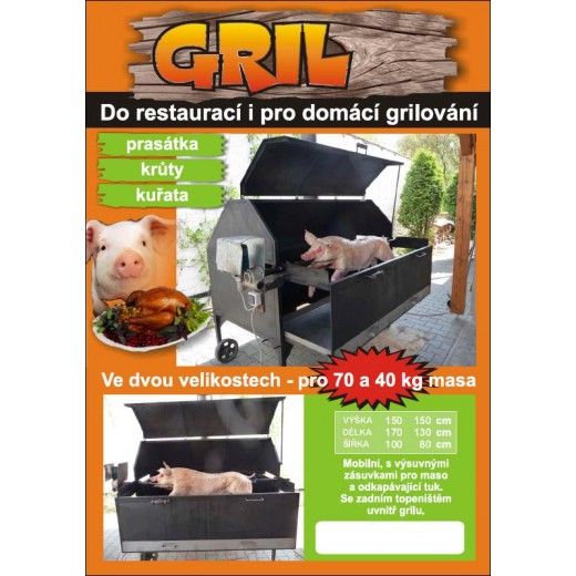 Gril na sele 170